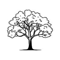 Artistic Big Leaf Maple Outline Design vector