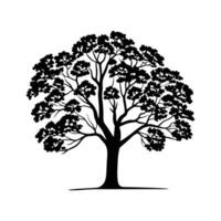 Outline Design of Black Walnut Tree vector