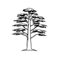 Stylized Outline of Blue Atlas Cedar Tree vector