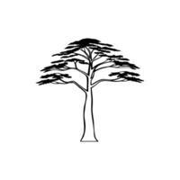 Artistic Outline of Blue Atlas Cedar vector