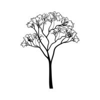 Bold Outline Design of Blue Jacaranda Tree vector