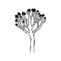 Artistic Outline of Palo Verde Tree vector
