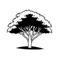Stylized Outline of Palo Verde Tree vector