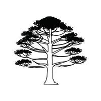 Stylized Outline of Bunya Pine Tree vector