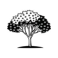Outline Design of Carolina Cherry Laurel Tree vector