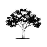Bold Outline of Carolina Cherry Laurel Tree vector