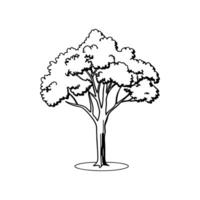 Stylized Outline of Carolina Cherry Laurel vector