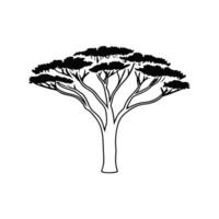 Artistic Outline Design of Casuarina Tree vector