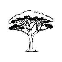 Outline Design of Casuarina Tree vector