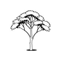Artistic Outline of Carolina Cherry Laurel Tree vector