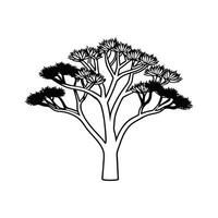 Casuarina Tree Outline Design vector