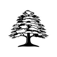 Stylized Outline of Cedar of Lebanon Tree vector