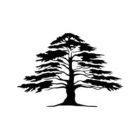 Design of Cedar of Lebanon Tree Outline vector