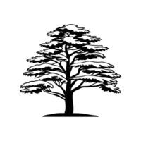 Stylized Outline of Cedar Tree vector