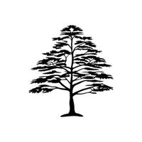 Outline Design of Cedar Tree vector