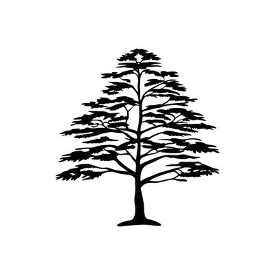 Outline Design of Cedar Tree