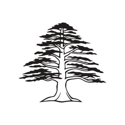 Artistic Outline of Cedar Tree Design