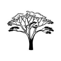 Chinese Pistache Tree Bold Outline Design vector