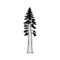 Coast Redwood Tree Bold Outline Design vector