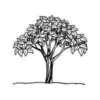 Elegant Coffee Tree Design with Bold Outline vector