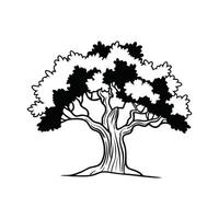 Cork Oak Tree Bold Outline Unique Design vector
