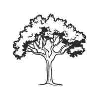 Elegant Cork Oak Tree Design with Bold Outline vector