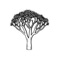 Artistic Outline of Devils Walking Stick Tree vector