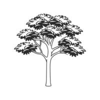 Elegant Devils Walking Stick Tree Design Outline vector