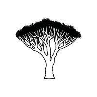 Elegant Dragons Blood Tree Design with Bold Outline vector