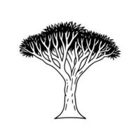 Elegant Dragon Tree Design with Bold Outline vector