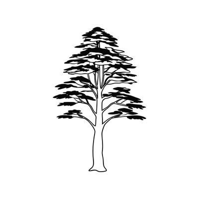 Eastern Raved Cedar Tree Bold Outline Design