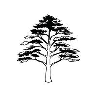 Artistic Outline of Eastern White Pine Tree vector