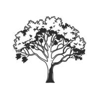 Elm Tree Bold Outline Artistic Design vector
