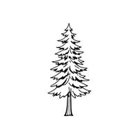 Elegant European Larch Tree Design Outline vector