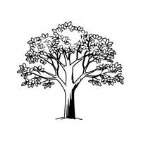 Bold Outline Artistic Design of Fig Tree vector
