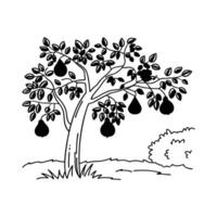 Elegant Fig Tree Design Outline vector