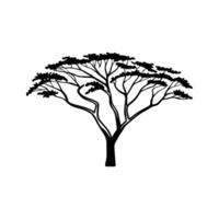 Elegant False Acacia Tree Design Outline vector