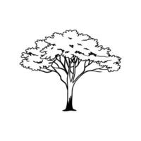 Florida Maple Tree Bold Outline Unique Design vector