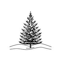 Fraser Fir Tree Bold Outline Artistic Design vector