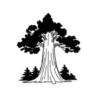 Artistic Outline of Giant Sequoia Tree vector