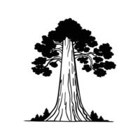 Giant Sequoia Tree Bold Outline Design vector