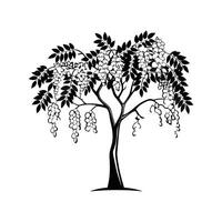 Artistic Outline of Golden Chain Tree vector