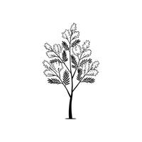 Golden Wattle Tree Bold Outline Unique Design vector