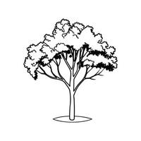 Artistic Outline of Golden Wattle Tree vector