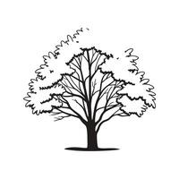 Artistic Outline of Hickory Tree vector