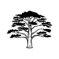 Elegant Himalayan Cedar Tree Design Outline vector