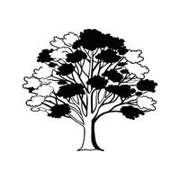 Hybrid Poplar Tree Bold Outline Unique Design vector