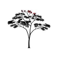 Artistic Outline of Indian Coral Tree vector