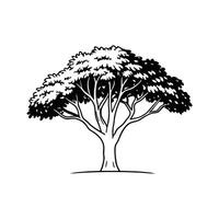 Indian Laurel Tree Bold Outline Unique Design vector