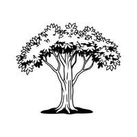 Elegant Indian Fig Tree Design Outline vector